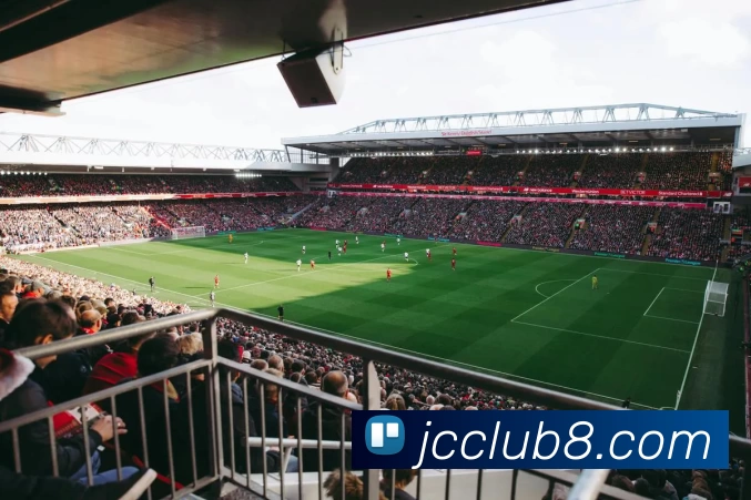 钜城娱乐城官网平台生态图